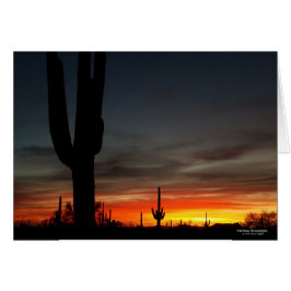 Sonoran Wüste Sonnenuntergang Arizona mit saguaro