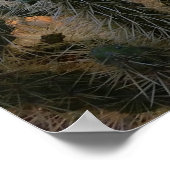 Sonoran Wüste Sonnenuntergang Arizona mit saguaro  Poster (Ecke)