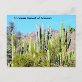 Sonoran-Wüste von Arizona Postkarte
