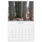 Sonoran-Wüstenkalender 2008 Kalender (Mär 2027)