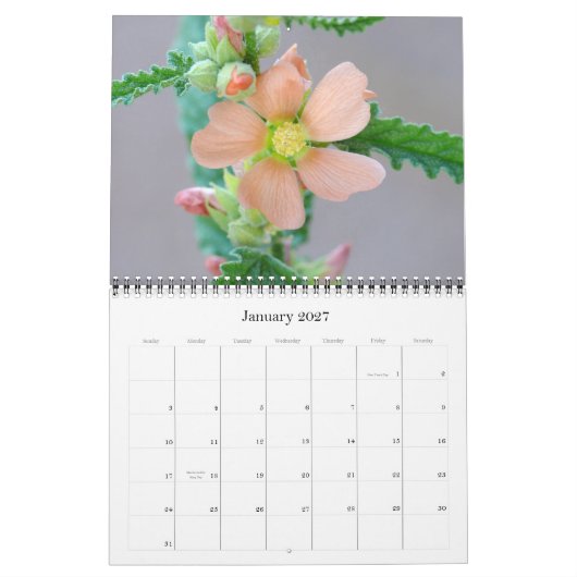 Sonoran-Wüstenkalender 2008 Kalender (Jan 2027)