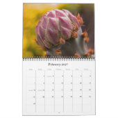 Sonoran-Wüstenkalender 2008 Kalender (Feb 2027)