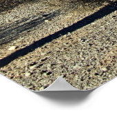 Sonoran-Wüstenlandschaft 16 Poster (Ecke)