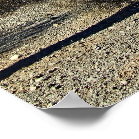 Sonoran-Wüstenlandschaft 16 Poster (Ecke)