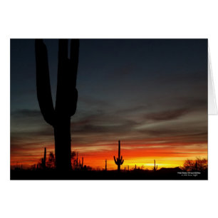 Sonoran Wüstensonnenuntergang Arizona mit