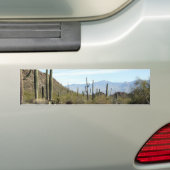 Sonoran Wüstenszene 02 Autoaufkleber (Auf Auto)