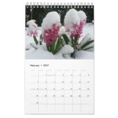 Sonrise Garden 2020 Kalender (Feb 2027)