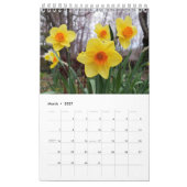 Sonrise Garden 2020 Kalender (Mär 2027)