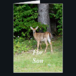 Sons Birthday Deer<br><div class="desc">Foto von einem Reh und Bäumen.</div>