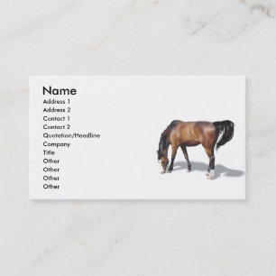 Sonstige017 , Name, Anschrift 1, Anschrift 2, Kont Visitenkarte