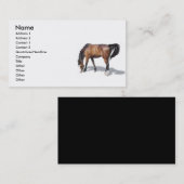 Sonstige017 , Name, Anschrift 1, Anschrift 2, Kont Visitenkarte (Vorne/Hinten)