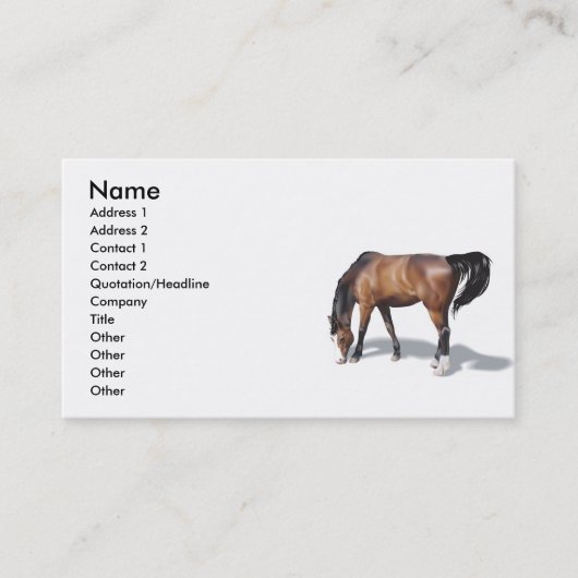 Sonstige017 , Name, Anschrift 1, Anschrift 2, Kont Visitenkarte (Vorderseite)