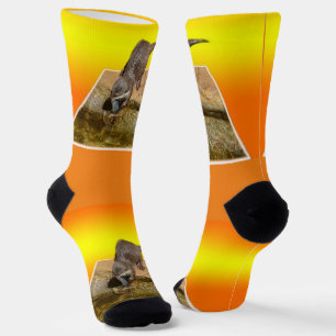 **"Sonstiger Popout: Ein spielender Flüchtige Blic Socken