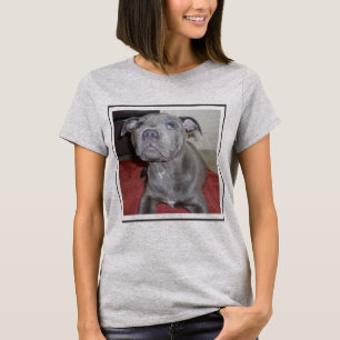 Sooky Blue Staffordshire Bull Terrier Puppy, T-Shirt