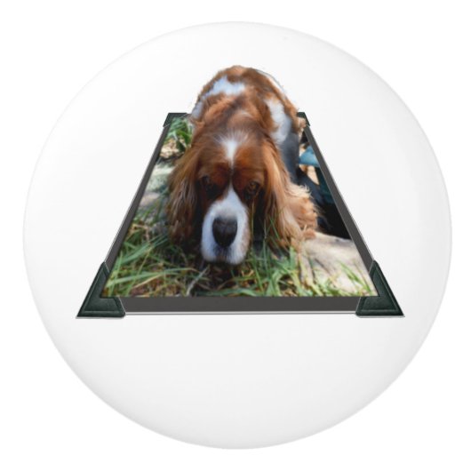 Sooky Face Cavalier Spaniel Popout Art, Keramikknauf (Vorderseite)