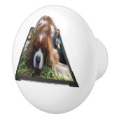 Sooky Face Cavalier Spaniel Popout Art, Keramikknauf (Rechts)