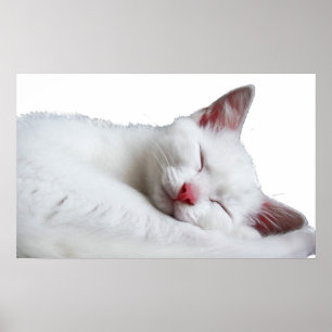 Soooooooooooooooooooooooooooooooooooooooooooooooos Poster