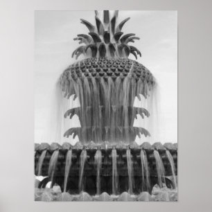 Soothing Pineapple Poster