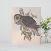 Sooty (Stehend Vorderseite)