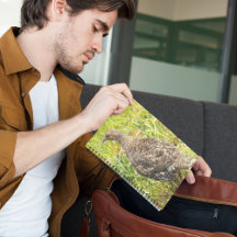 Sooty Grouse Wildlife Foto