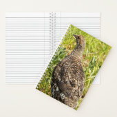 Sooty Grouse Wildlife Foto Notizblock (Innen)