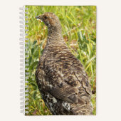 Sooty Grouse Wildlife Foto Notizblock (Vorderseite)