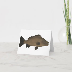 Sooty Grunter
