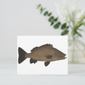 Sooty Grunter Postkarte (Stehend Vorderseite)