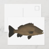 Sooty Grunter Postkarte (Vorne/Hinten)