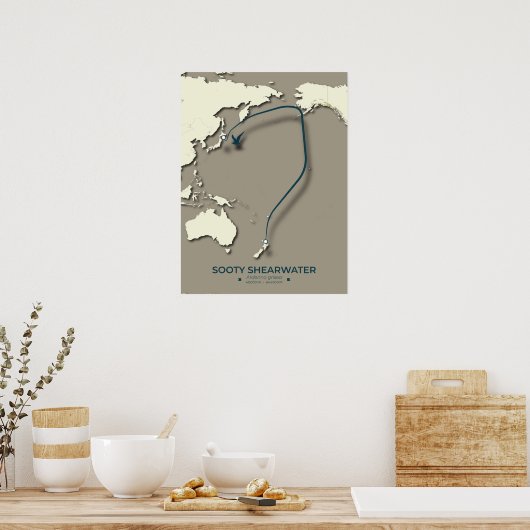 Sooty Shearwater Migration Map - Minimalistisch Poster (Küche)