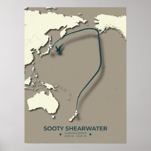 Sooty Shearwater Migration Map - Minimalistisch Poster