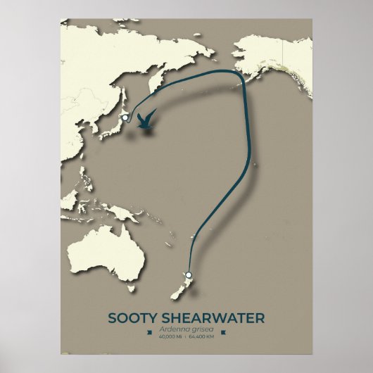 Sooty Shearwater Migration Map - Minimalistisch Poster (Vorne)