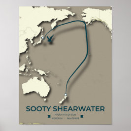Sooty Shearwater Migration Map - Minimalistisch Poster
