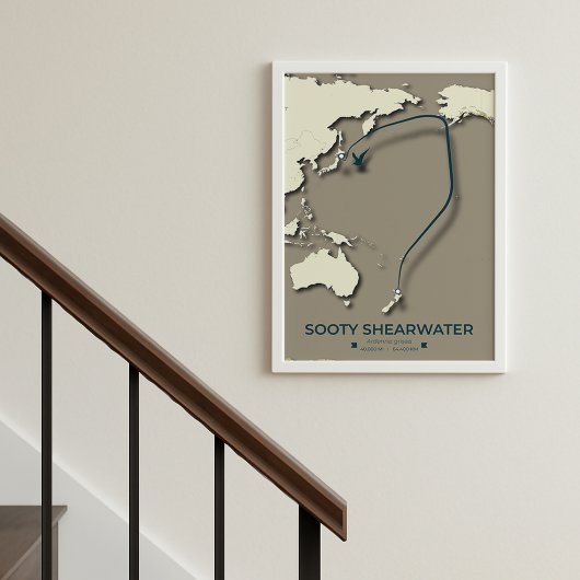 Sooty Shearwater Migration Map - Minimalistisch Poster