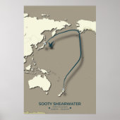 Sooty Shearwater Migration Map - Minimalistisch Poster (Vorne)