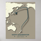 Sooty Shearwater Migration Map - Minimalistisch Poster (Vorne)