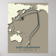 Sooty Shearwater Migration Map - Minimalistisch