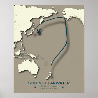 Sooty Shearwater Migration Map - Minimalistisch Poster