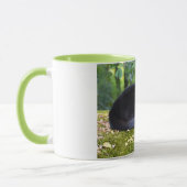 Sooty Tasse (Links)