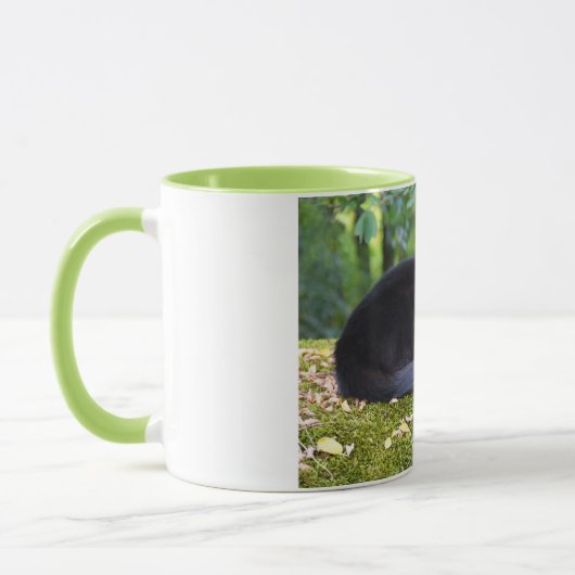 Sooty Tasse (Links)
