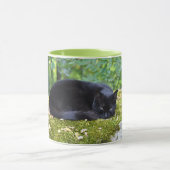Sooty Tasse (Zentrum)