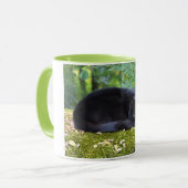 Sooty Tasse (Vorderseite Links)