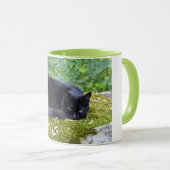 Sooty Tasse (VorderseiteRechts)