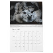 Sophia 2015 Custom Chow Calendar Kalender (Mär 2026)