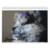 Sophia 2015 Custom Chow Calendar Kalender (Titelbild)