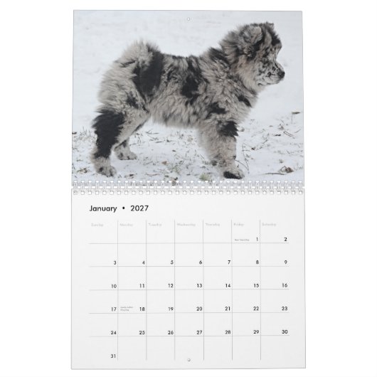 Sophia 2015 Custom Chow Calendar Kalender (Jan 2027)