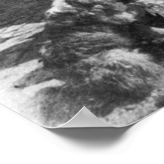 Sophia Farrell, 1899 Poster (Ecke)