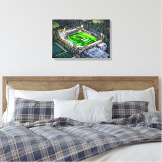 Sophia Gardens Cricket Ground, Cardiff Leinwanddruck