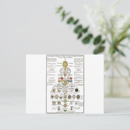 Sophia - um den Geist zu verändern Postkarte (Stehend Vorderseite)