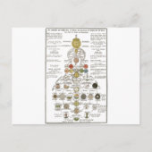 Sophia - um den Geist zu verändern Postkarte (Vorderseite)